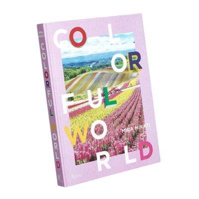 Colorful World book cover