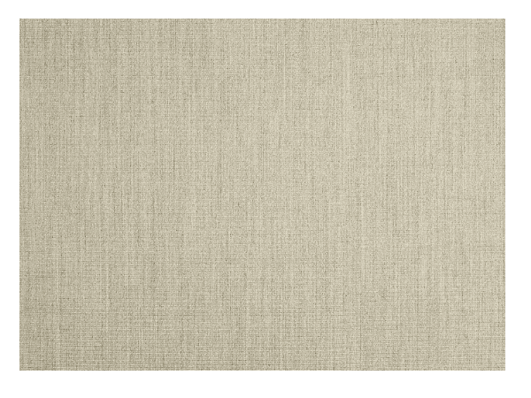 Sisal rug