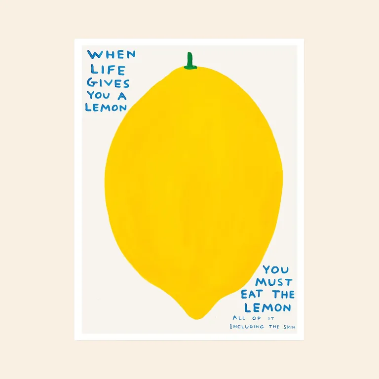 When Life Gives You Lemons by David Shrigley