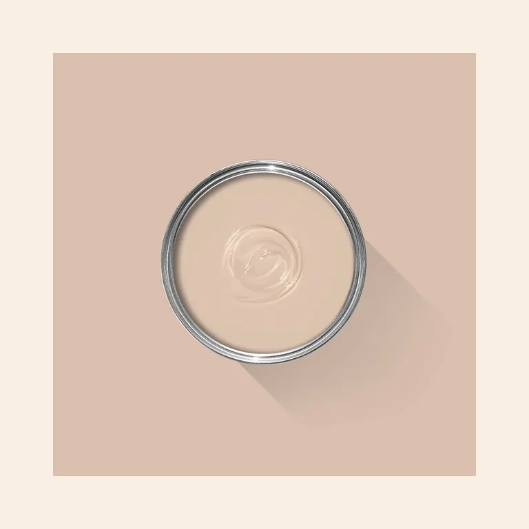 Setting Plaster