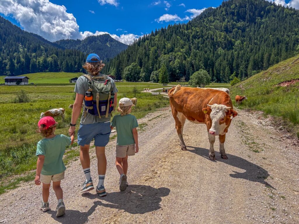 Family walking by cows in Bavaria