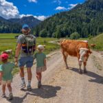 Family walking by cows in Bavaria