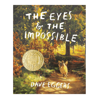 cover of the eyes and the impossible book